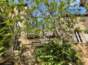 Le Petit Egregore, patio et climatisation